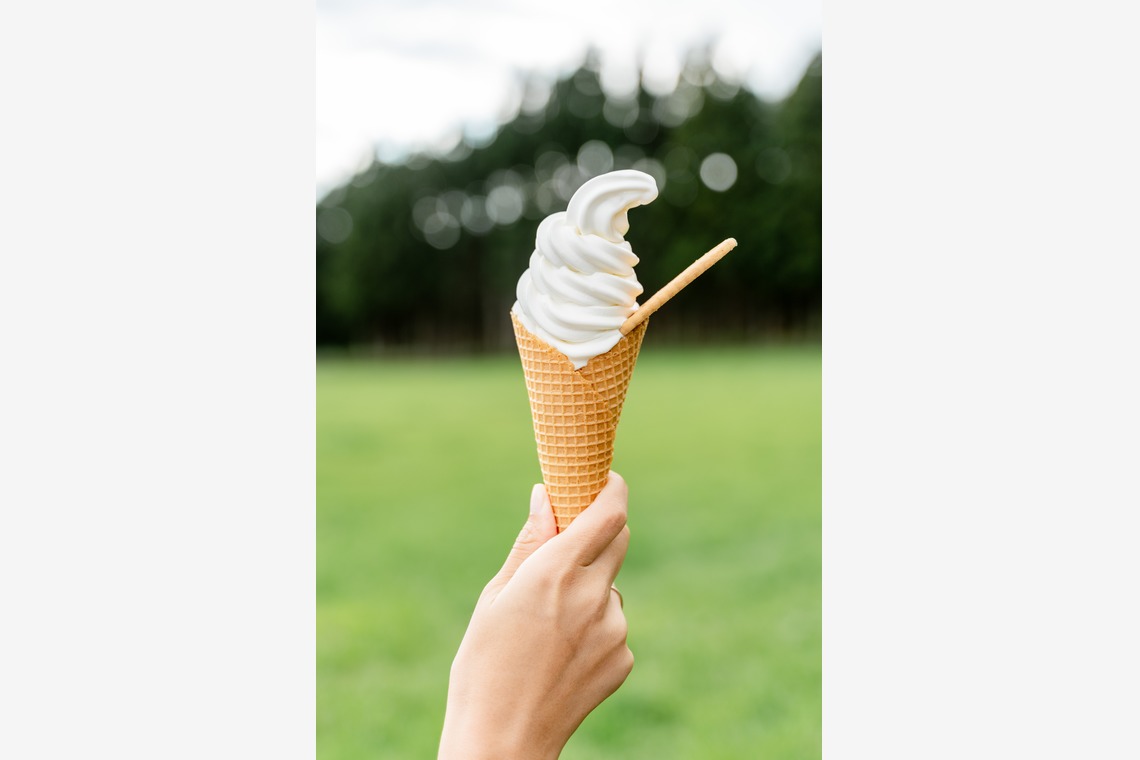 ウィリアムズ　侑依が撮影した写真のアルバム「料理撮影」