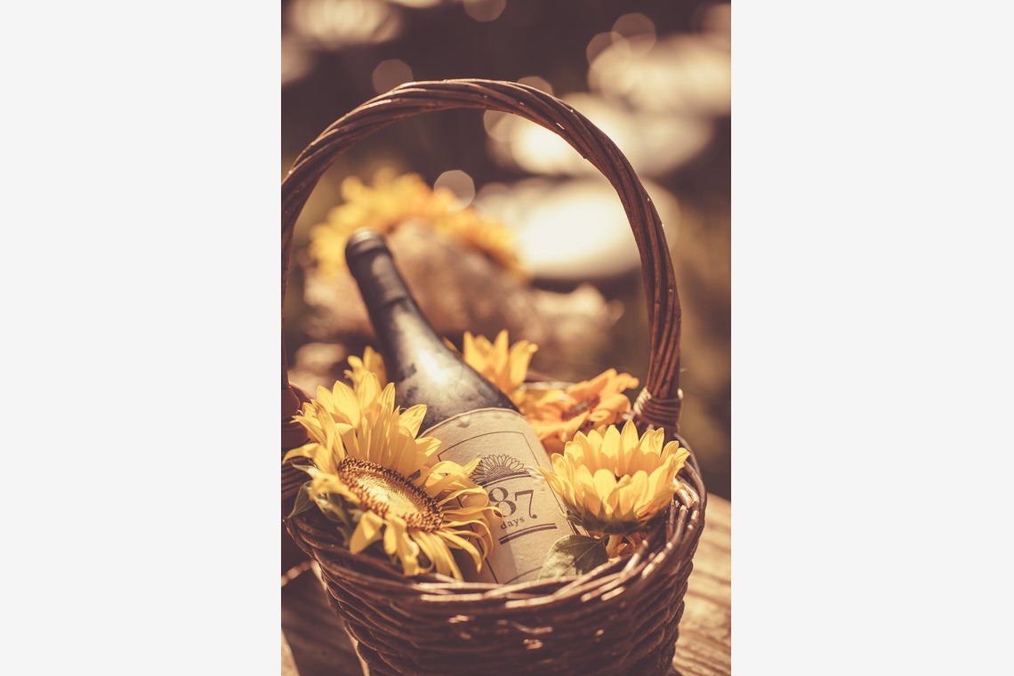  グラフィーズが撮影した「87デイズ」の写真