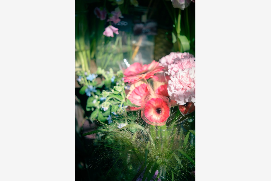戸澤麻衣が撮影した写真のアルバム「お花屋さんの撮影」