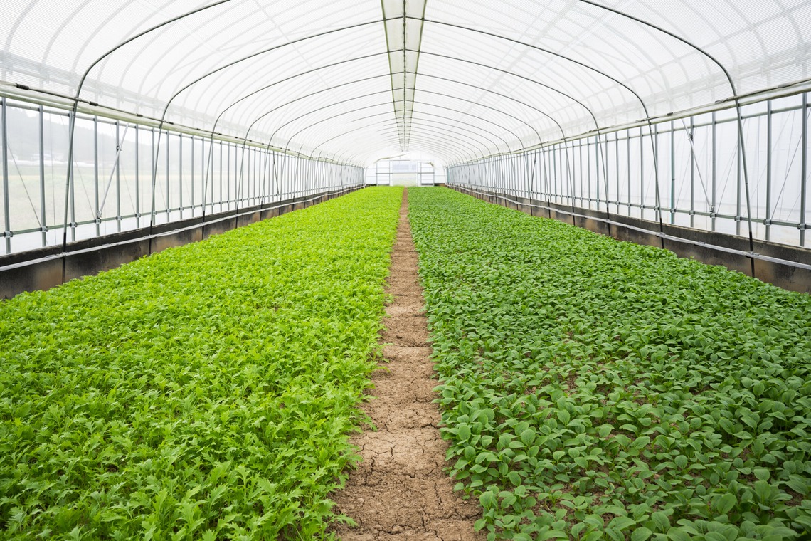 出張撮影TLaboが撮影した写真のアルバム「求人用　職場風景の撮影」
