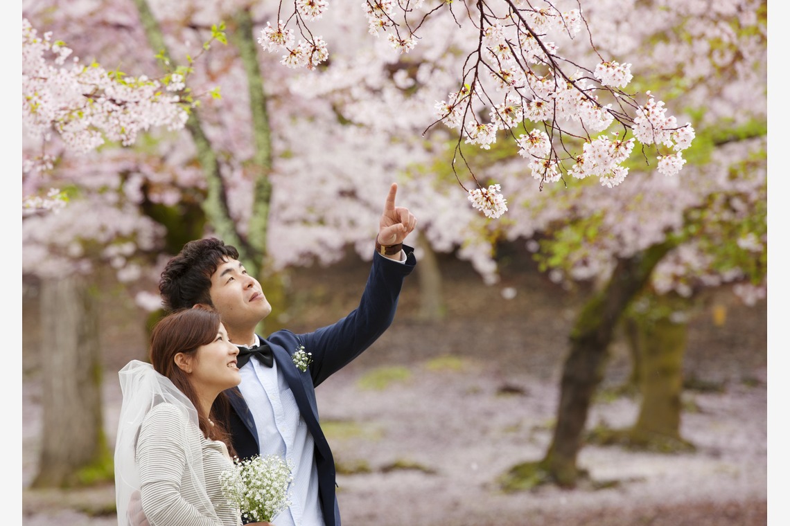 B WORKs PHOTOGRAPHY（丸山  隆史）が撮影した写真のアルバム「春フォト」