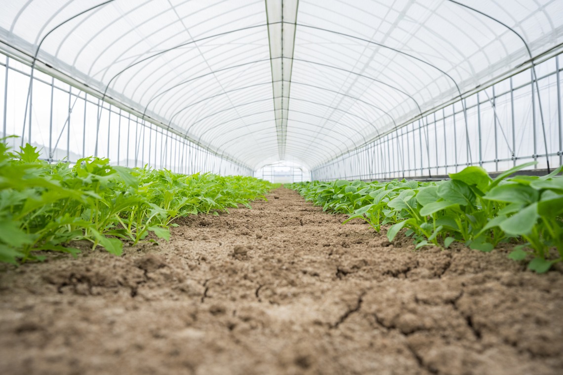 出張撮影TLaboが撮影した「求人用　職場風景の撮影」の写真