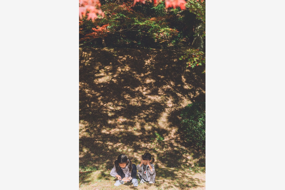 多田正子が撮影した「ファミリーフォト（バースデーフォト）」の写真