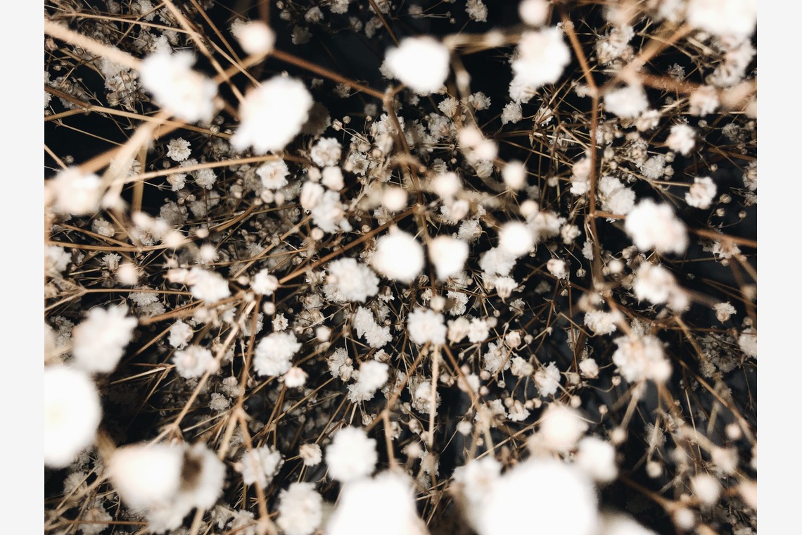 磯谷亮太が撮影した写真のアルバム「flower」