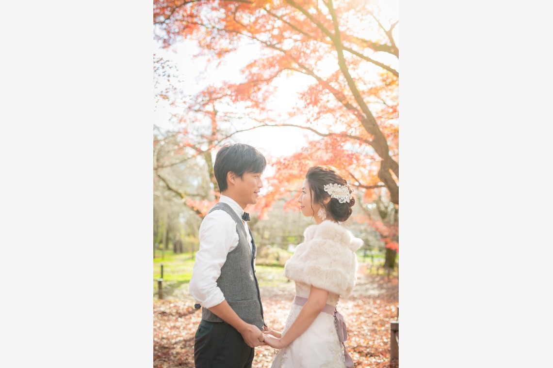 Photo of kyoto autumn taken by SORAIRO