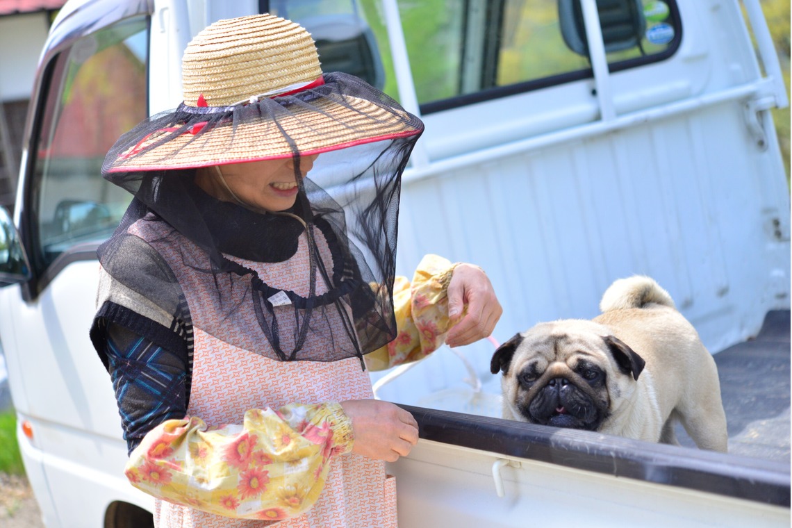 Peace-full photoが撮影した写真のアルバム「ペット撮影」