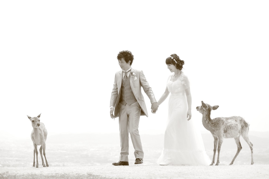 Kaoru Photographyが撮影した「ロケーションフォト」の写真