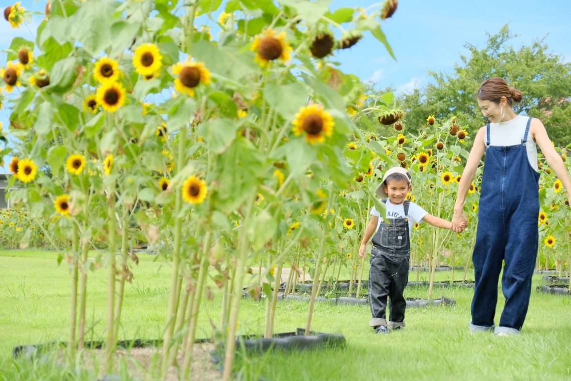 tomizoが撮影した写真のアルバム「お誕生日記念撮影＠しまね花の郷」