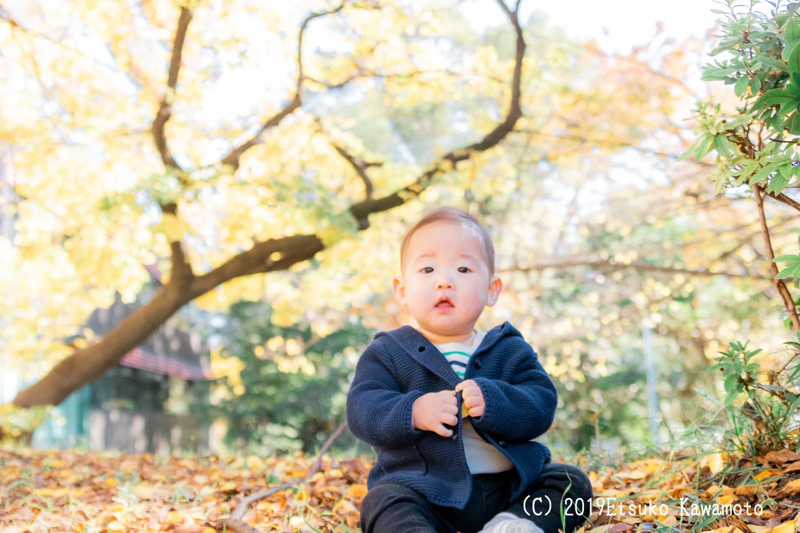 かわもとえつこが撮影した「ファミリーフォト」の写真