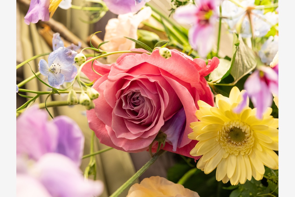 Makoto Nakamuraが撮影した写真のアルバム「花」