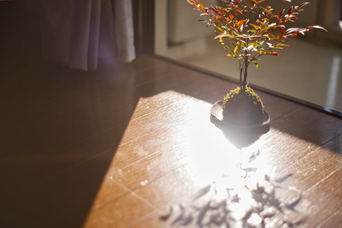 小野友輔が撮影した「物撮り」の写真