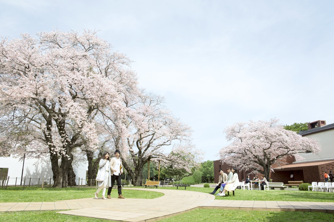 村田わかな広告写真が撮影した「茨城キリスト教大学」の写真