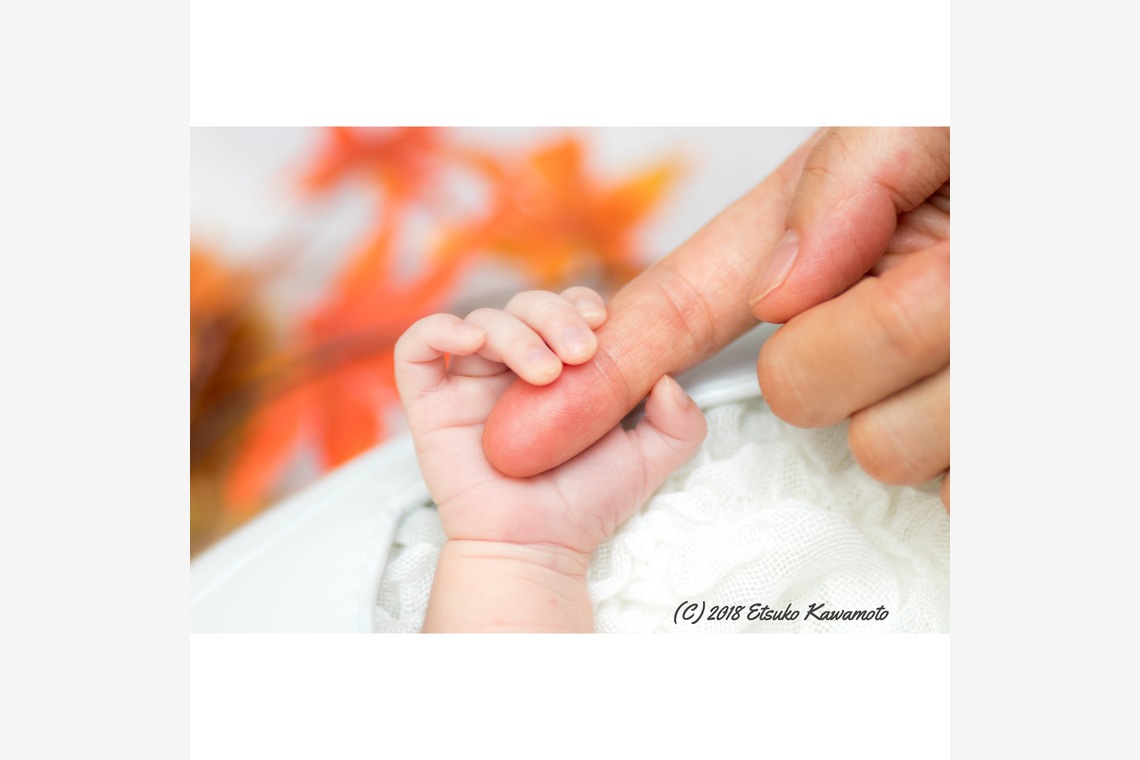 かわもとえつこが撮影したニューボーンフォトのアルバム「ニューボーンフォト」