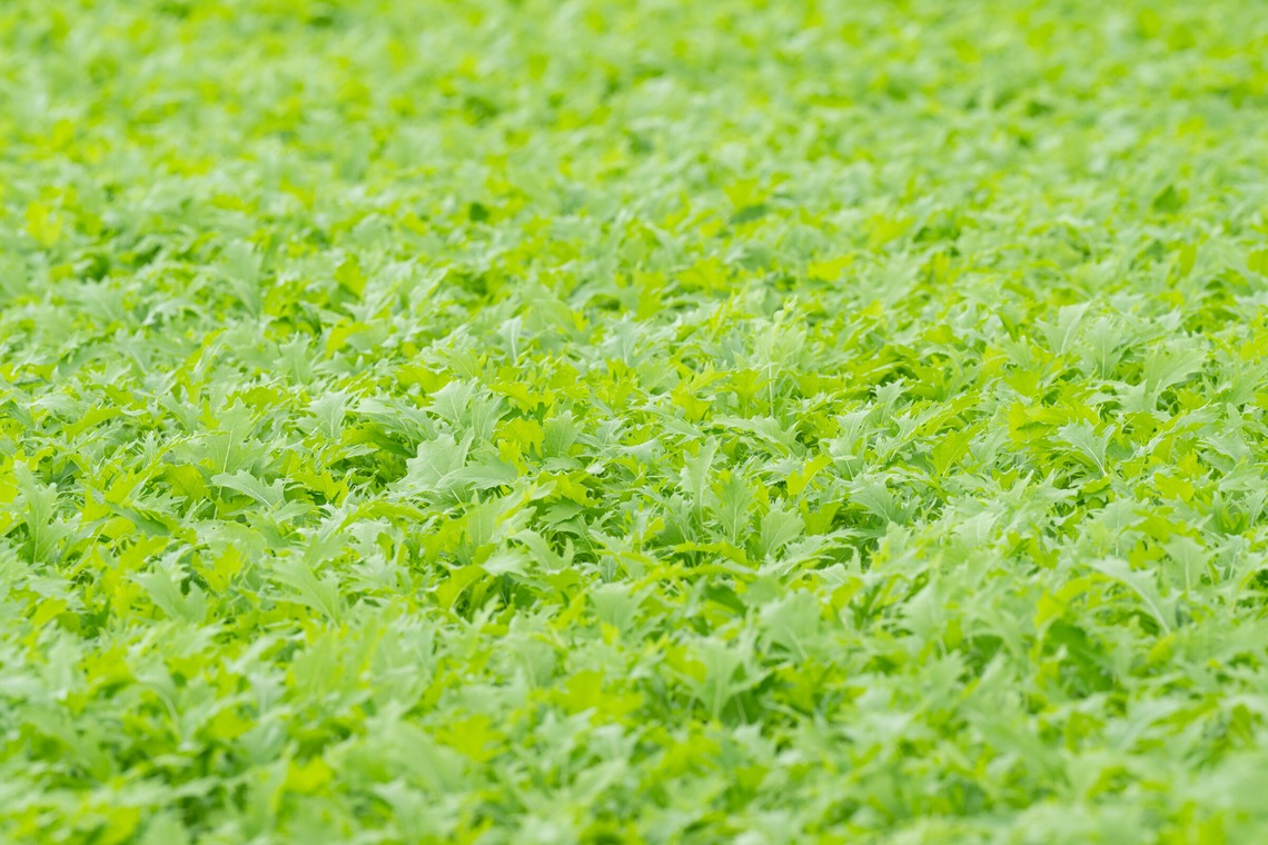 出張撮影TLaboが撮影した「求人用　職場風景の撮影」の写真