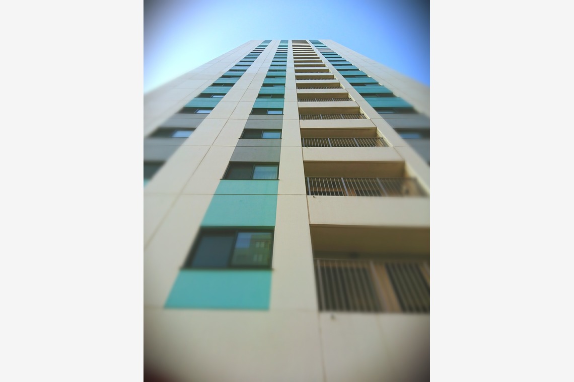 出張撮影のメモリーズが撮影した「nature-アラカルト」の写真