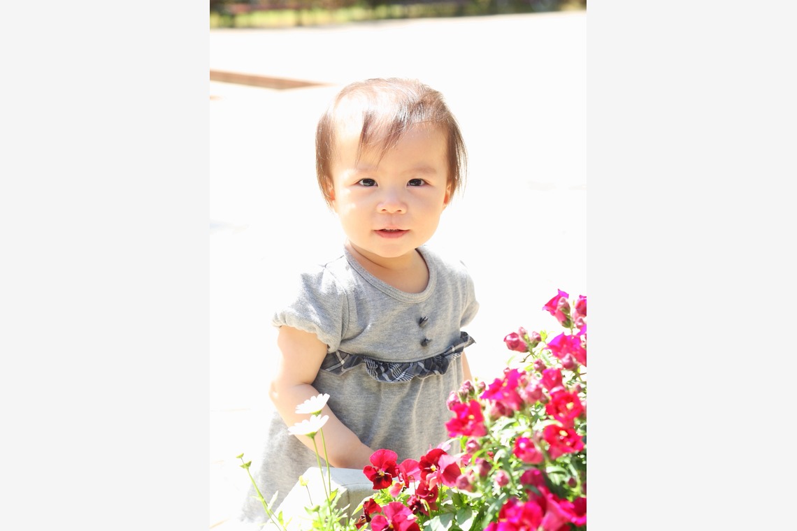 森安　照が撮影した「幼児、子供、赤ちゃん」の写真