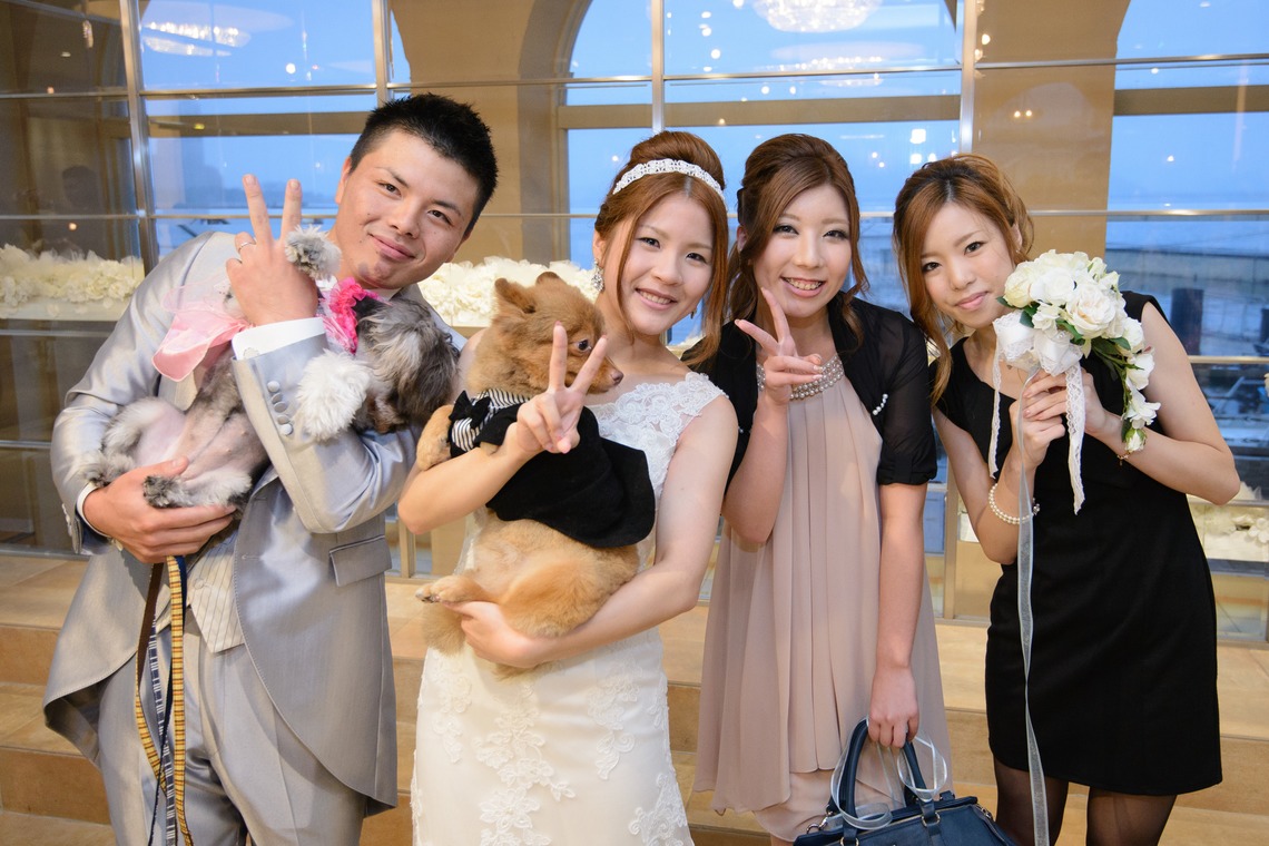 ドラマティックフィルム（島本 浩明）が撮影した「フォトギャラリー」の写真