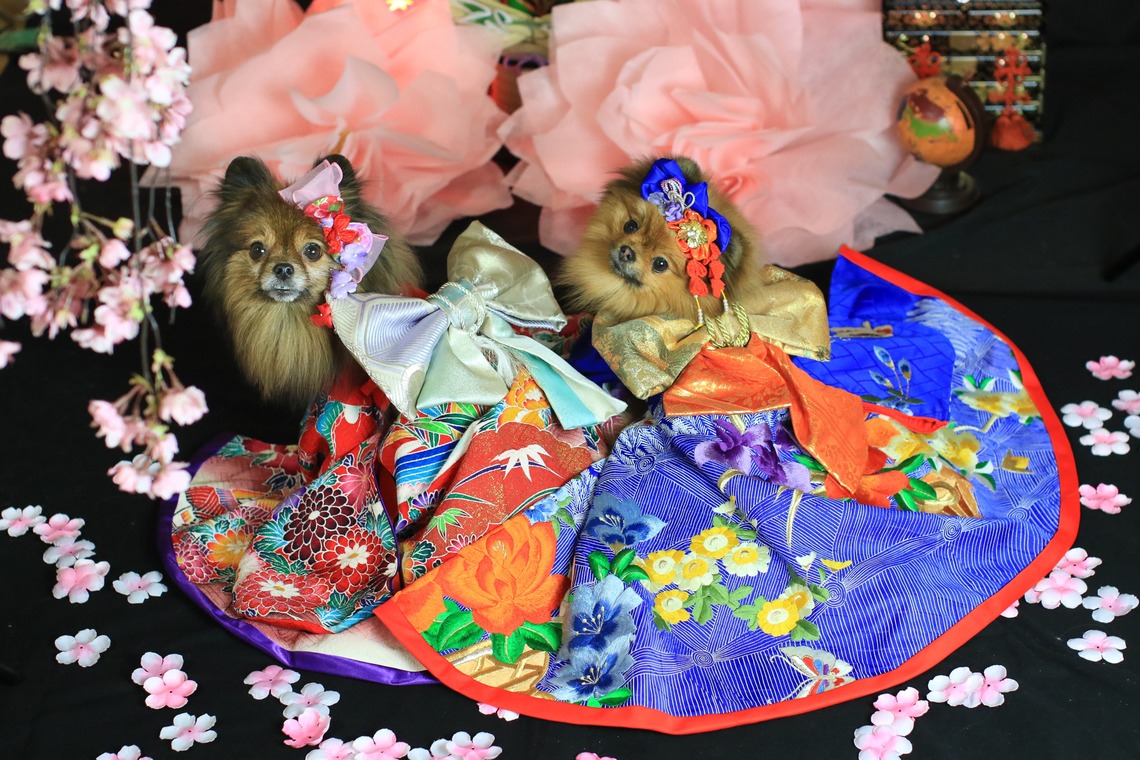 高橋 透（Coo&Sea STUDIO代表）が出張撮影した家族写真(キッズ,ベビーフォト)などが写った「お正月撮影会2020@新横浜Coo&Sea STUDIO」の家族写真