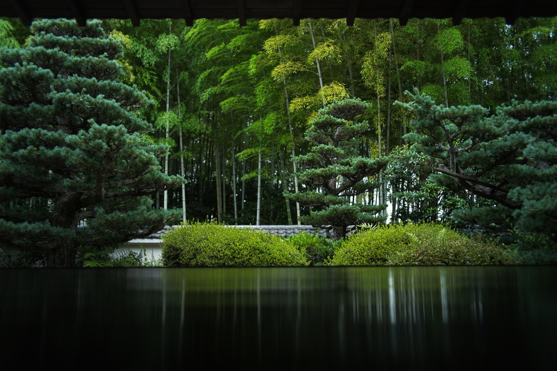 YVLが撮影した「作例」の写真