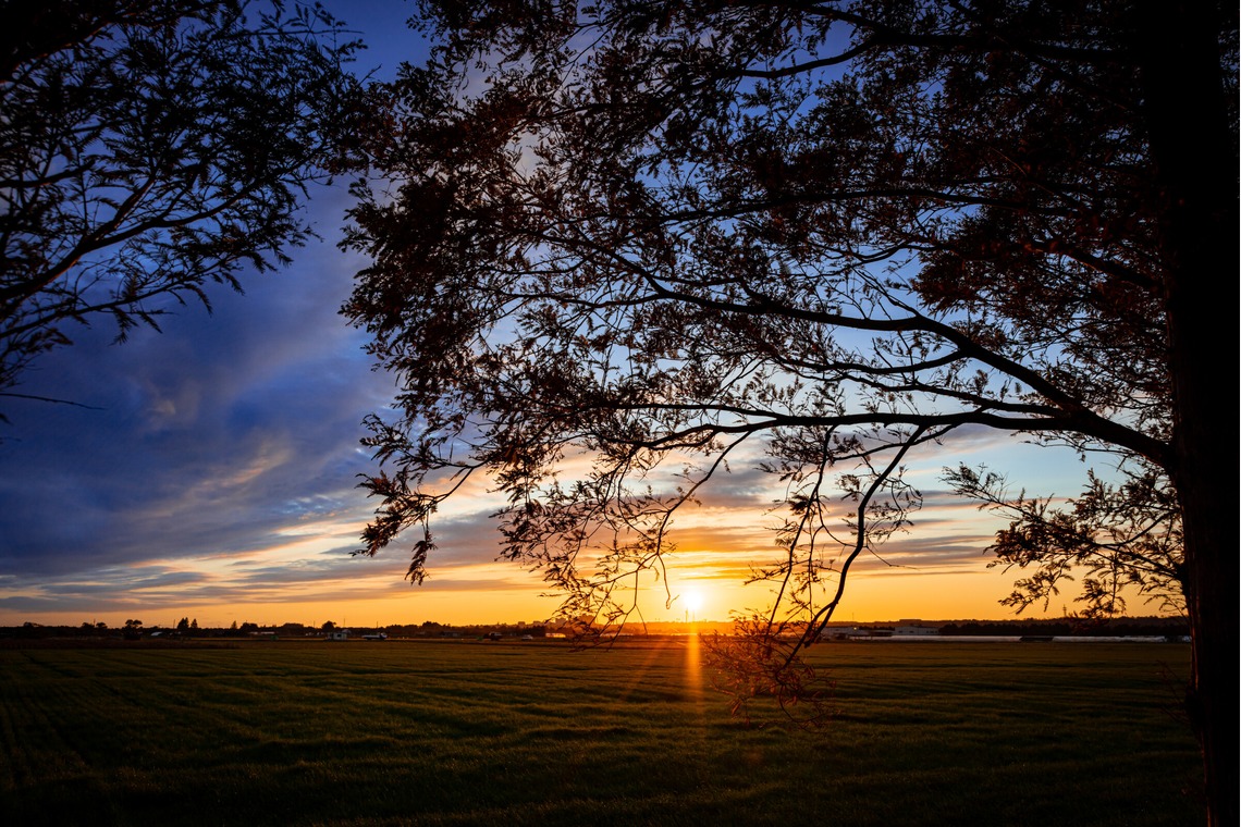 岡田　哲昇が撮影した写真のアルバム「風景スナップ」