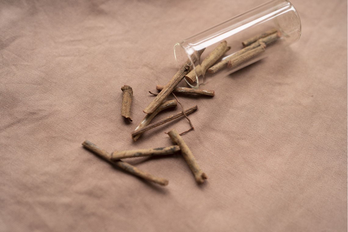 Hamuこども写真館が撮影した写真のアルバム「Hamu写真館」