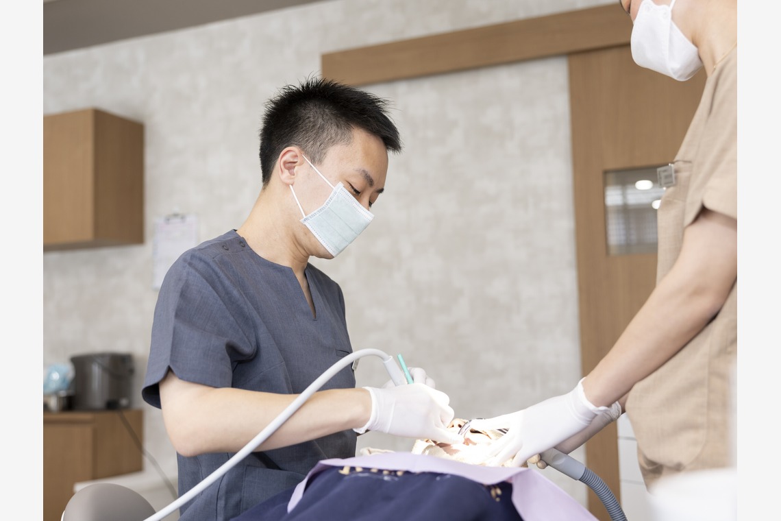 Take Photoが撮影した「福島県郡山市」の写真