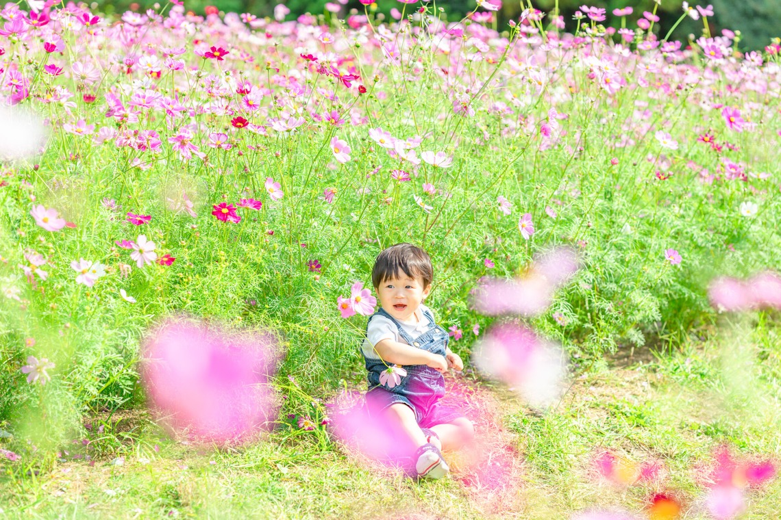 クリエイティブツリーが撮影した写真のアルバム「家族写真」