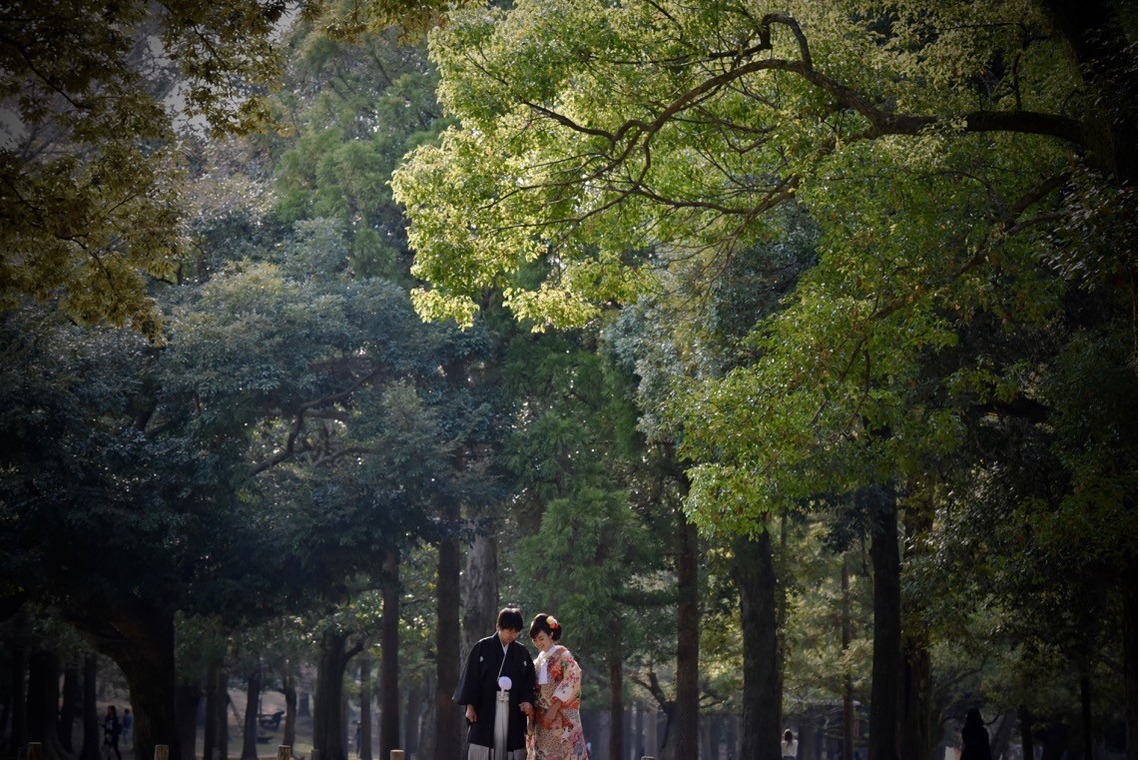 キキフォトワークスが撮影した「奈良公園でのロケーション撮影と神社でのご祈祷」の写真