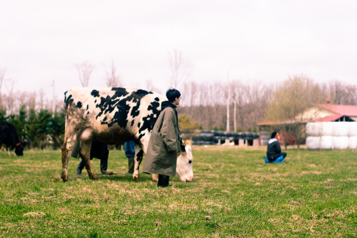 神部葵が撮影した写真のアルバム「菊地ファーム　春の初放牧公開イベント」