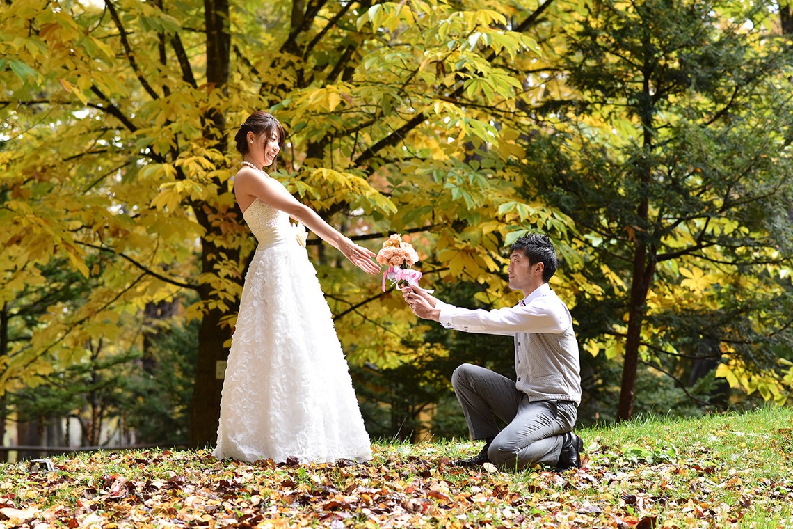 中村写真事務所が撮影した写真のアルバム「北海道旭川市神楽岡公園」