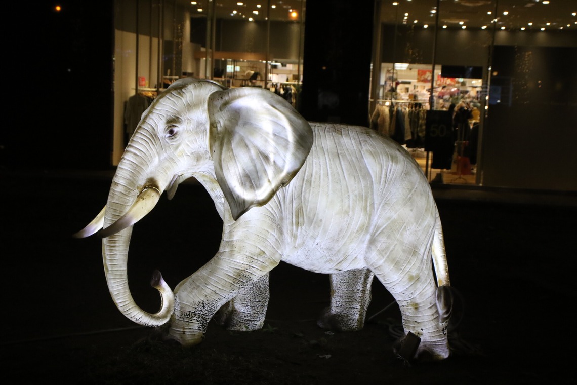 ＮＫ フォトエージェンシーが撮影した写真のアルバム「建物・風景写真③(多摩センター駅前イルミネーション）」