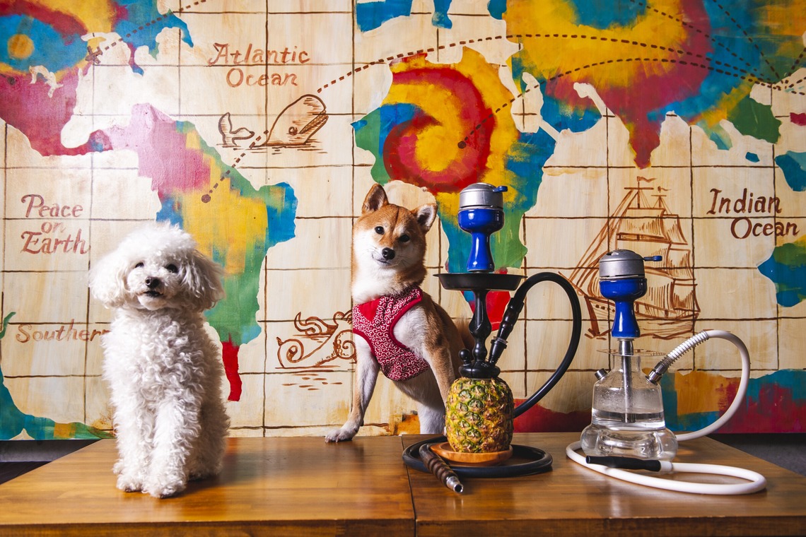 Top Gunが撮影した写真のアルバム「料理撮影」