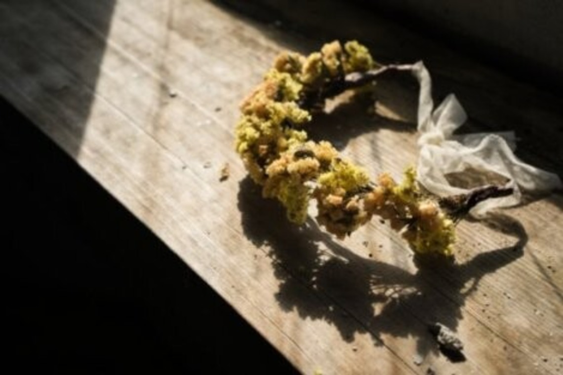 小野友輔が撮影した写真のアルバム「物撮り」