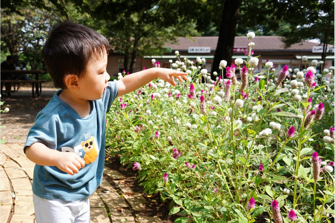 photographerTAKASUが撮影した「ファミリー」の写真