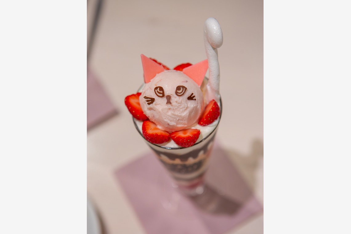 松見　翠が撮影した写真のアルバム「食品撮影」