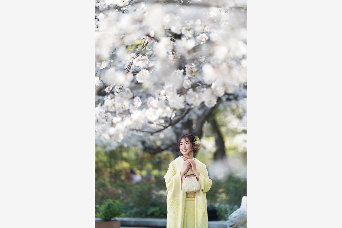 山口　竜が撮影した「成人式前撮り・卒業袴」の写真
