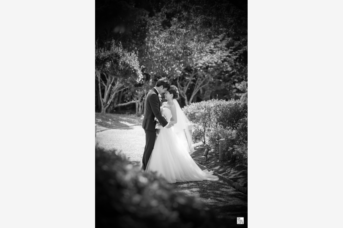 伊藤写真事務所 イン・ザ・ライフ