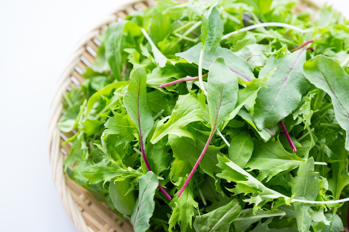 出張撮影TLaboが撮影した「求人用　職場風景の撮影」の写真