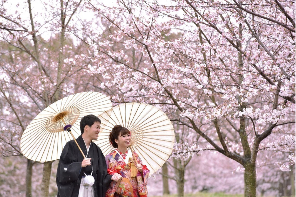キキフォトワークスが撮影した「桜の季節の和装前撮り」の写真