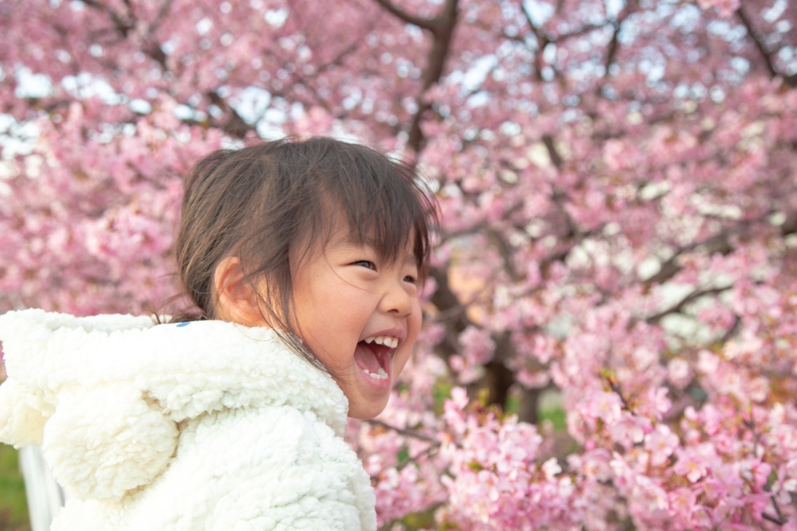 ゆのみふぉとが出張撮影した家族写真(キッズ,ベビーフォト)などが写った「桜とお写真」の家族写真