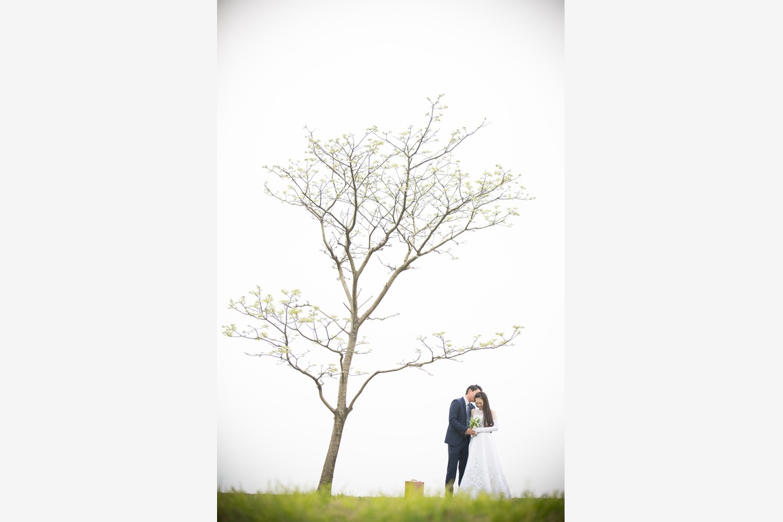 Suzuki  Photo  Office