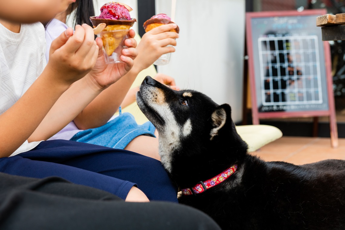 DESIGN STUDIO EEが撮影した「料理、店舗撮影　西アメリカ風シーフード料理 CafeHOPE（北海道東旭川）」の写真