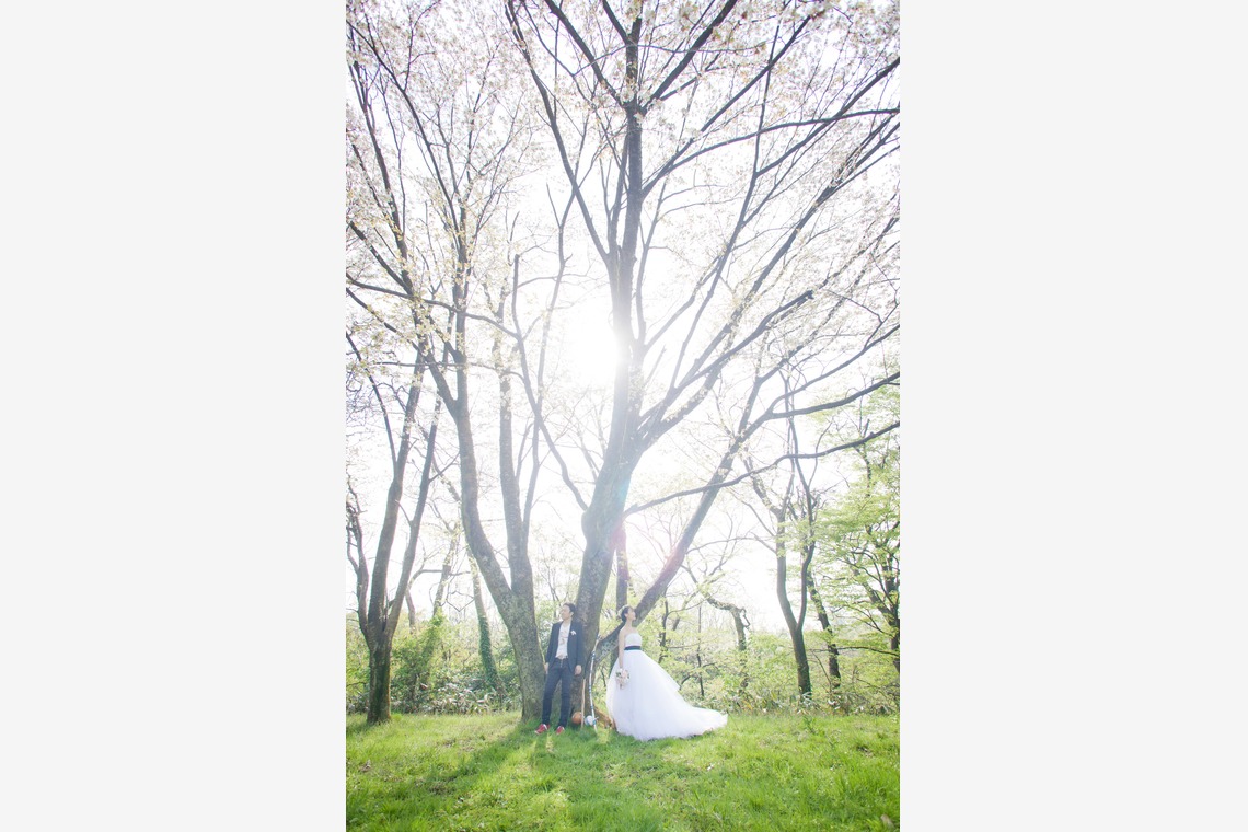 skyward photo film（竹本飛鳥）が撮影した「前撮りドレス」の写真