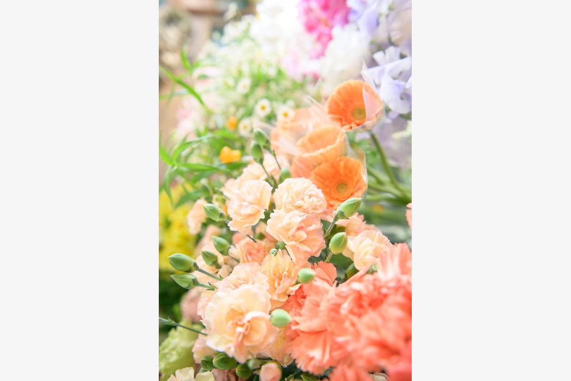 戸澤麻衣が撮影した写真のアルバム「お花屋さんの撮影」