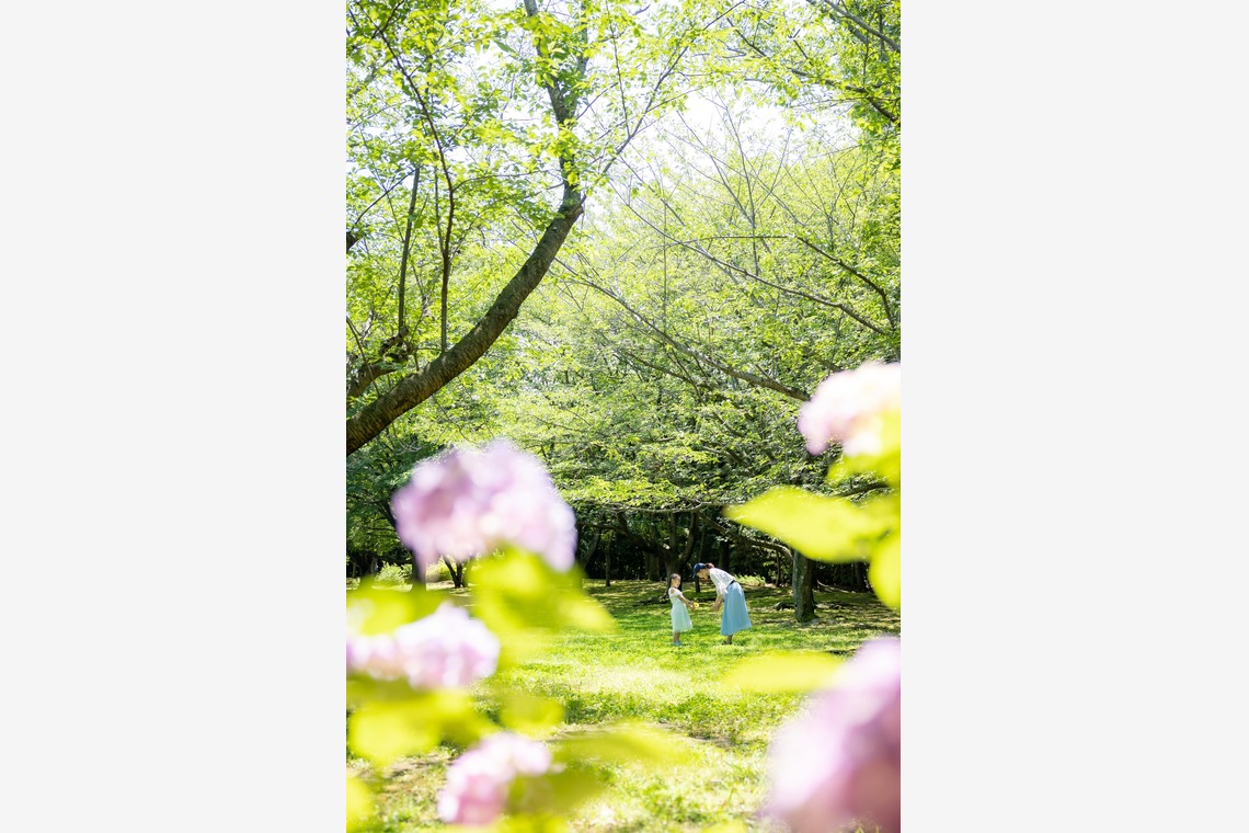 大森光太郎・K-PHOTOが撮影した写真のアルバム「商品パッケージ撮影」