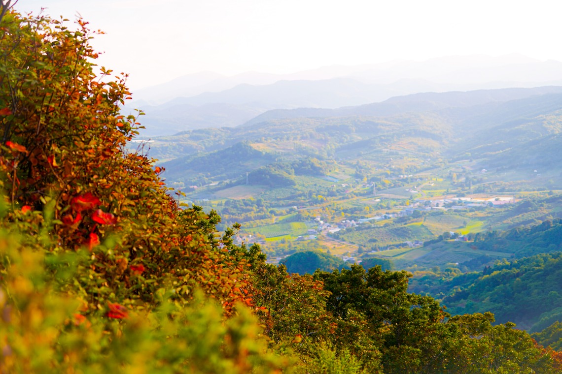 スタジオルクスが撮影した写真のアルバム「Landscape Building photo」