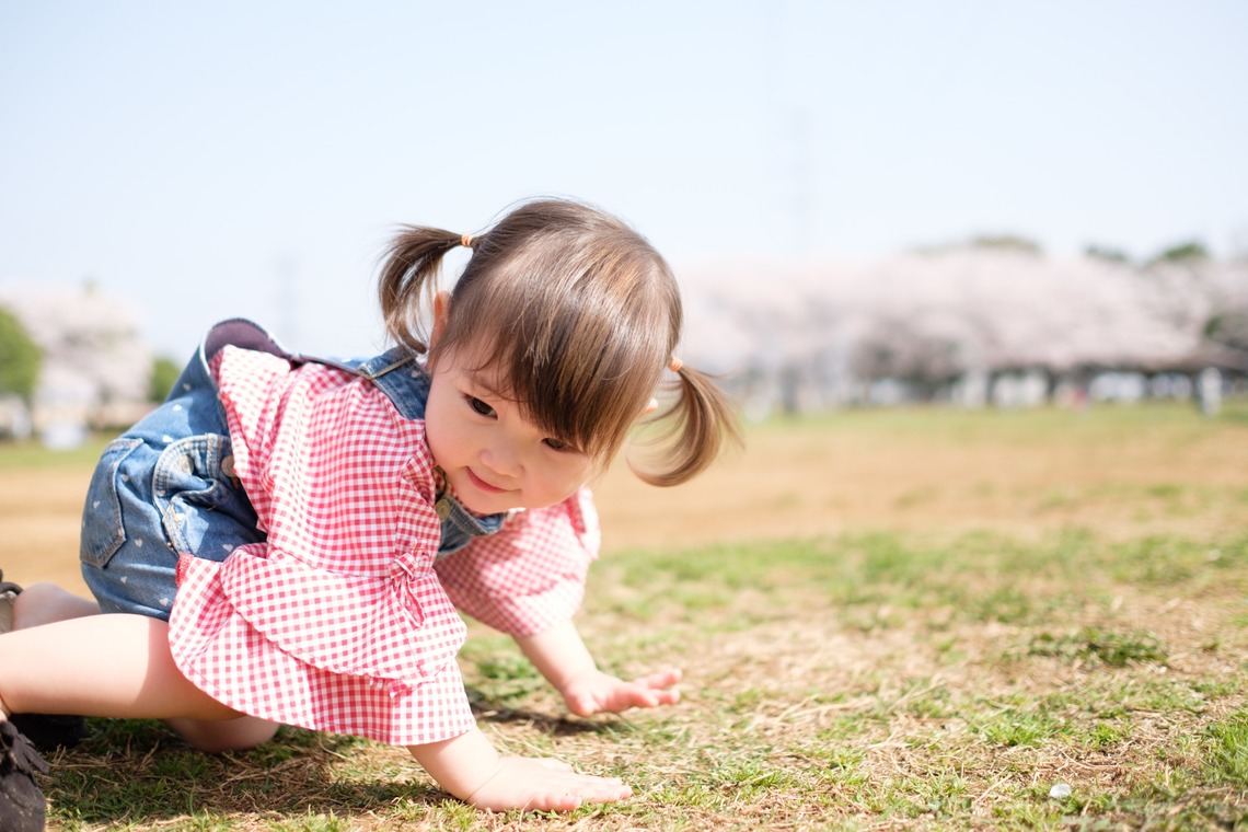高野和希が撮影した「桜での家族フォト」の写真
