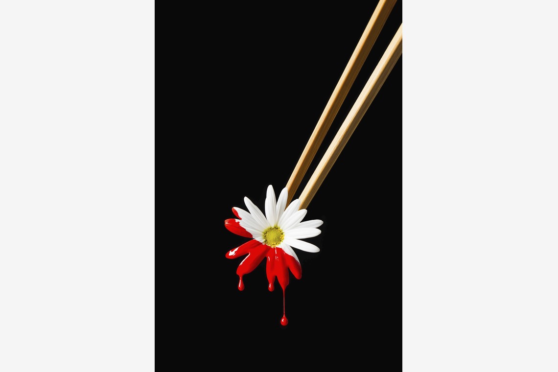 スタジオ11が撮影した写真のアルバム「様々な料理写真」