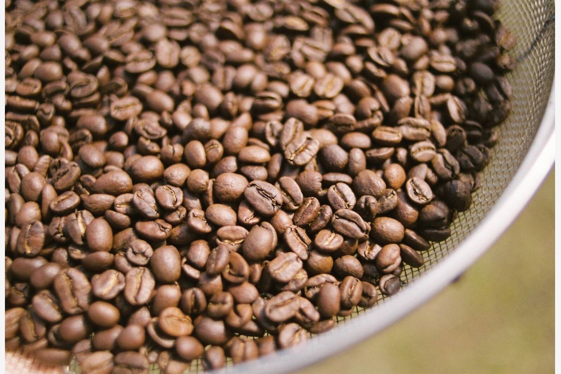 ワイヤリングが撮影した「フード」の写真