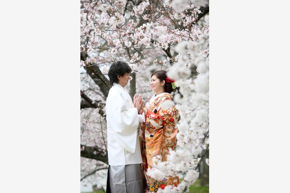 KIKIウェディングが撮影した写真のアルバム「サクラとお城と打ち掛け」